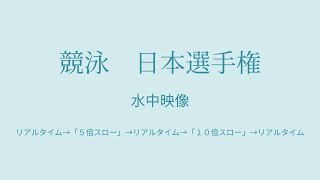 【水中映像分析】 2018年 日本選手権　女子 100Mバタフライ