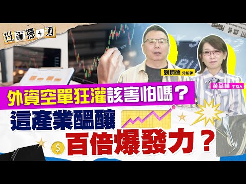 台股連四跌！外資空單醞釀崩盤？川普+馬斯克兩大狂人執政 市場隱藏黑馬獻身？| #投資機加酒 EP48 | #劉烱德