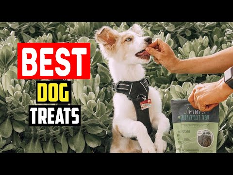 ✅ Best Dog Treats of 2023