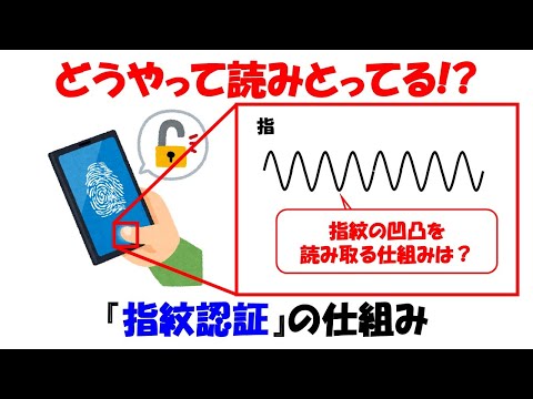 スマホでスッと認証！実はすごい指紋認証の技術を徹底解説【静電容量】【合成容量】