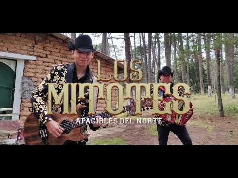 LOS MITOTES - APACIBLES DEL NORTE (Video Oficial 2023)