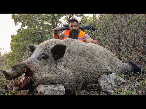 HUNTING WILD BOARS WITH EXCELLENT SHOTS - EFSANE DOMUZ AVI