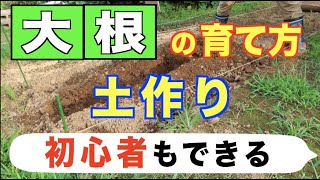 #1.【初心者もできる】大根の育て方【土作り編】20.9.2−11