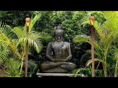 Silent Harmony | Buddha and Monk in Bamboo Garden