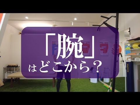 【トピックストーク】「腕」はどこから？