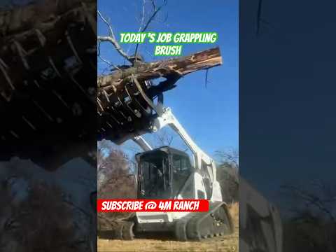 Name a better grapple  ✅ | bobcat grappling brush #shortsvideo #bobcat