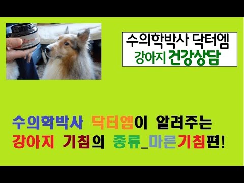 수의학박사 닥터엠이 알려주는 강아지 기침의 종류_마른 기침 편!