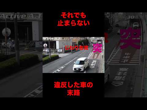 思わずスカッとしてしまう車たち　気になる方は別の本編どうぞ