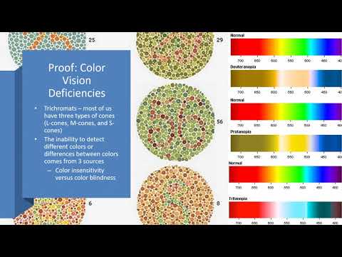 Module 3 - Visual Perception Recording