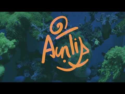 摩四青年《Auntie》[Official Lyric Video]