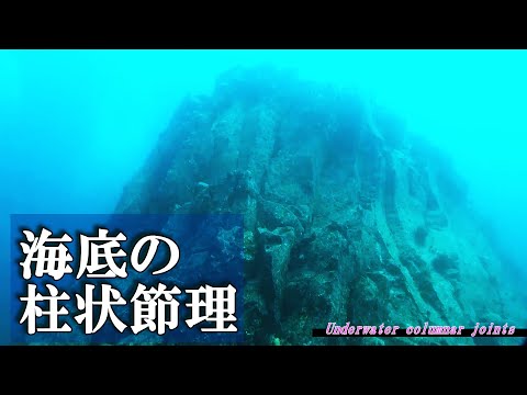 【 海中の柱状節理 】伊豆東部火山群の海底