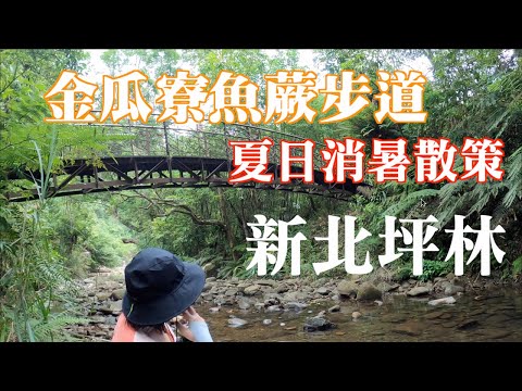 台北假日推薦｜新北市坪林｜金瓜寮魚蕨步道｜台北近郊假日全家散步好去處！親子夏日消暑推薦