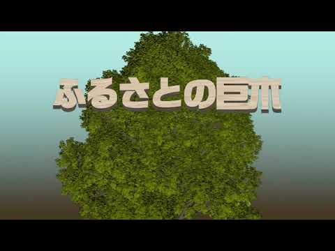 【千葉県市原市】空から見た巨木の映像「ふるさとの巨木」