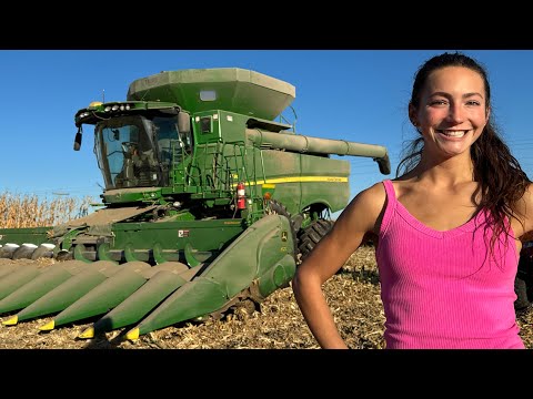 The MILLION Dollar Harvest Machine