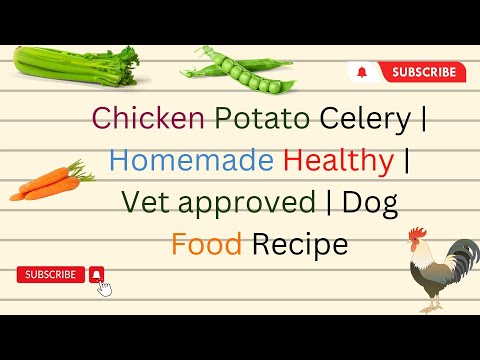 Chicken Potato Celery  Homemade Healthy  Vet approved  Dog Food   blogsbyibrar