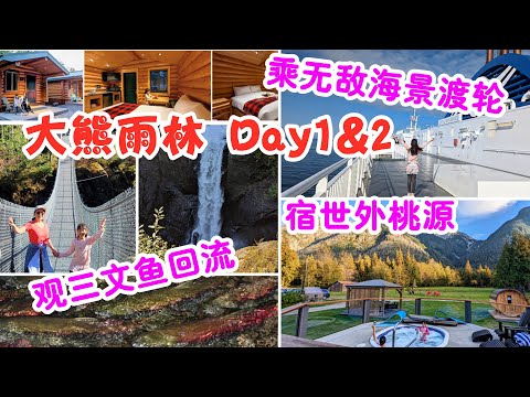 Great Bear Rainforest 大熊雨林Day1&2 | 乘坐跨海渡輪到溫哥華島，看三文魚回流；乘坐“北方海狼”號渡輪十小時抵達Bella Coola，欣賞絕美海景，入住世外桃源般的度假村