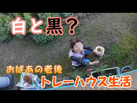 【トレーラーハウス生活】枝豆を茹でる前のひと手間　#360