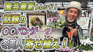 冬のお花ビオラ＆パンジーを使って 冬美人寄せ植え⭐話題のミカさんパンジーで 冬の植物園芸を楽しもう♫