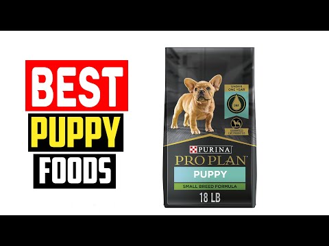 ✅Top 5 Best Puppy Foods for Growing Dogs in 2024