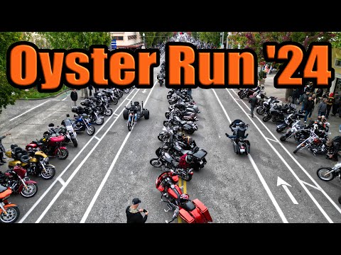 Peeping Hogs | Oyster Run 2024