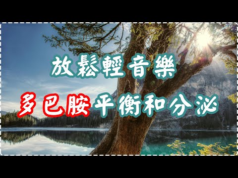 放鬆輕音樂 多巴胺平衡和分泌 入眠、放鬆、舒緩、休息【1小時】