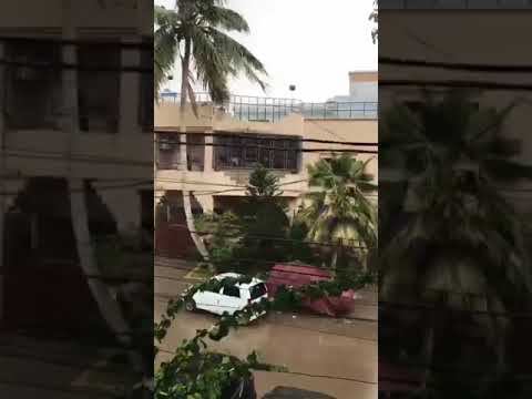 Rain in Karachi || Weather Updates #shorts