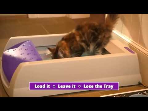 ScoopFree Ultra Self Cleaning Litter Box, Purple