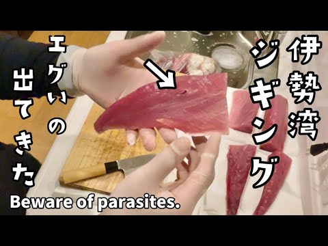 伊勢湾ジギングで釣れた魚が寄生虫まみれ