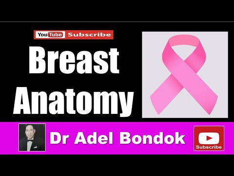 Breast Anatomy, Dr Adel Bondok