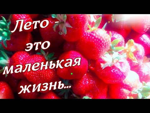 Доброе Утро,Лето! Лето-это маленькая жизнь!