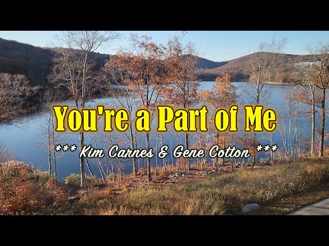 YOU'RE A PART OF ME - (Karaoke Version) - in the style of Kim Carnes & Gene Cotton