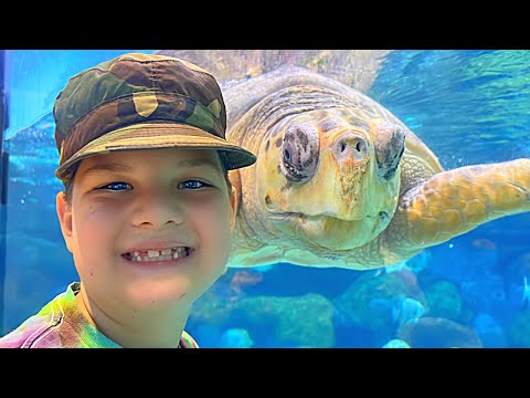 Caleb Goes to the Aquarium and Learns about Sea Animals, Sharks, Sea Turtles with School Friends!