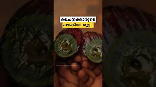 ചൈനക്കാർ തിന്നുന്ന പഴകിയ മുട്ട  century egg malayalam shorts