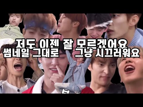 [세븐틴/웃음참기] 세븐틴은 도른자들이 1명도 아니고 13명 ! 감당할려면 맘 단단히 먹어라 ☄️💥 (feat. 이도겸 분량 살벌함 주의)