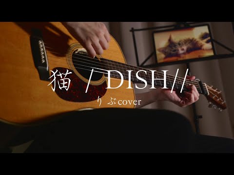 Neko (Cat)／DISH//（RIB cover）