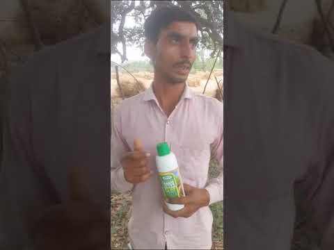 078 Farmer from Hardoi District | Uttar Pradesh | Nano Urea Testimonial