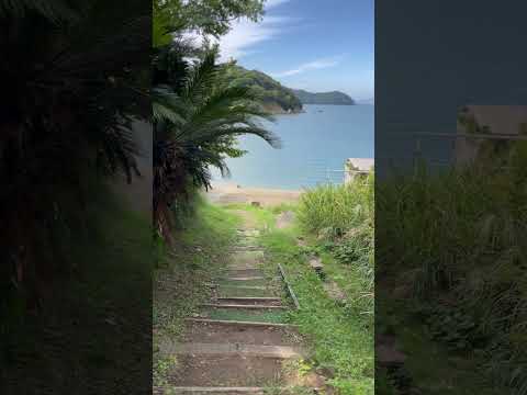 イルカ島🐬(三重県鳥羽市)