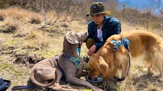 愛犬と絶景登山。後編