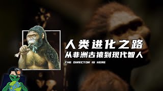 人类进化之路，从非洲古猿到现代智人