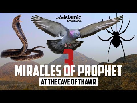 3 Miracles Of Prophet Muhammad That Happened At Cave Of Thawr | @IslamicKnowledgeOfficial