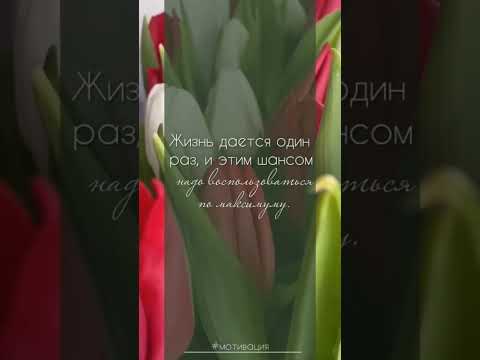 Впереди счастье☺✨ Главное  верить❤ #музыкальнаяоткрытка #youtubeshorts #счастьерядом #впередисчастье