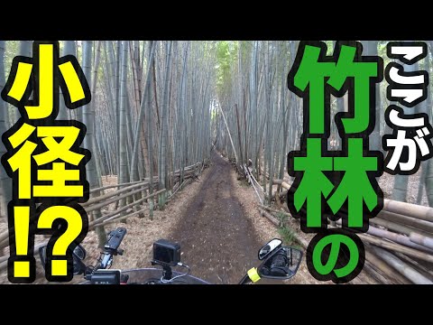 Another bamboo forest path! ? This is Kyoto Basin, right? [GSX-S1000GT]