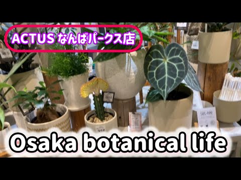 🍃Osaka botanical life🍃ACTUSなんばパーク店に行ってきました💕