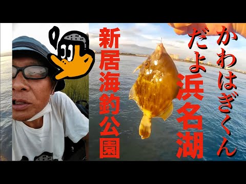 [初心者釣り日記] 浜名湖新居海釣り公園、夏が終わって9月、何が釣れたか見てちょーだいの初心者