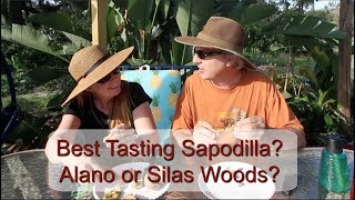 Best Tasting Sapodilla Fruit? - Silas Wood & Alano