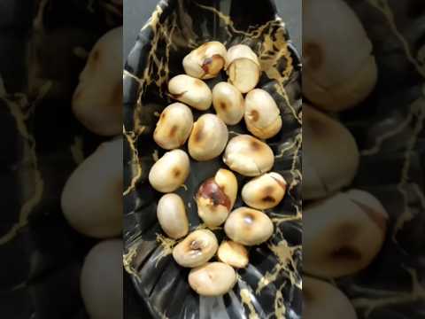 కాల్చిన పనస గింజలు తింటే ఆరోగ్యo రుచి/ jack fruit seed fry