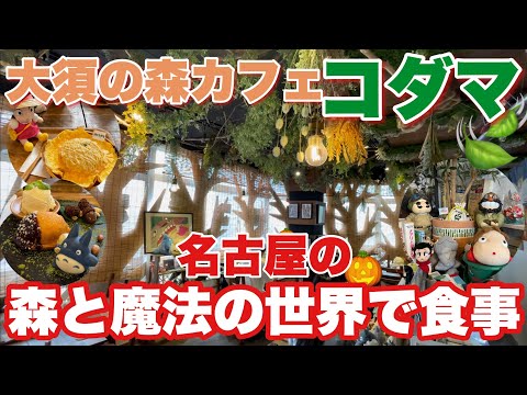 【名古屋.カフェ.食事】名古屋にある森と魔法の世界で食事してきた