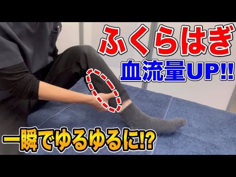 【超簡単】たったコレだけでふくらはぎがスッキリする方法公開【ハリボディTV】