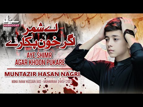 Muharram Nohay | Aye Shimr Agar Khoon Pukare | Muntazir Hasan Nagri | Noha Imam Hussain | New Noha