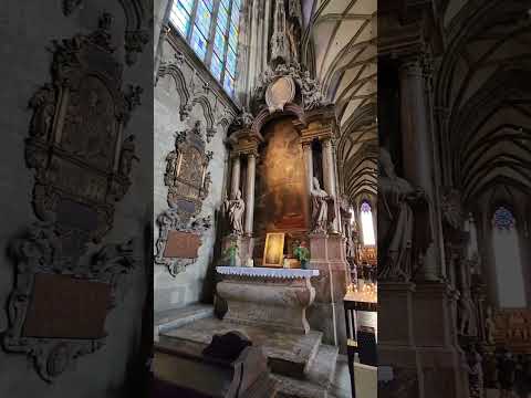 St. Stephen's Cathedral (Domkirche St. Stephan), Vienna, Austria 🇦🇹